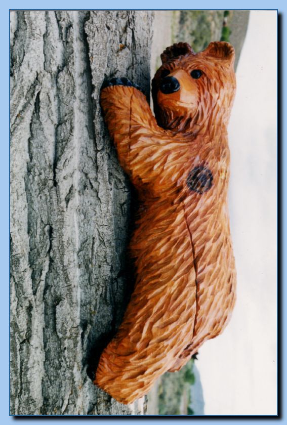 1-35 bear attached to tree